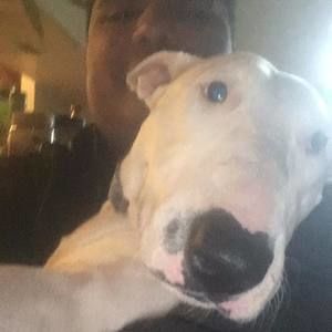 Meet your Posher, Eliseo antonio